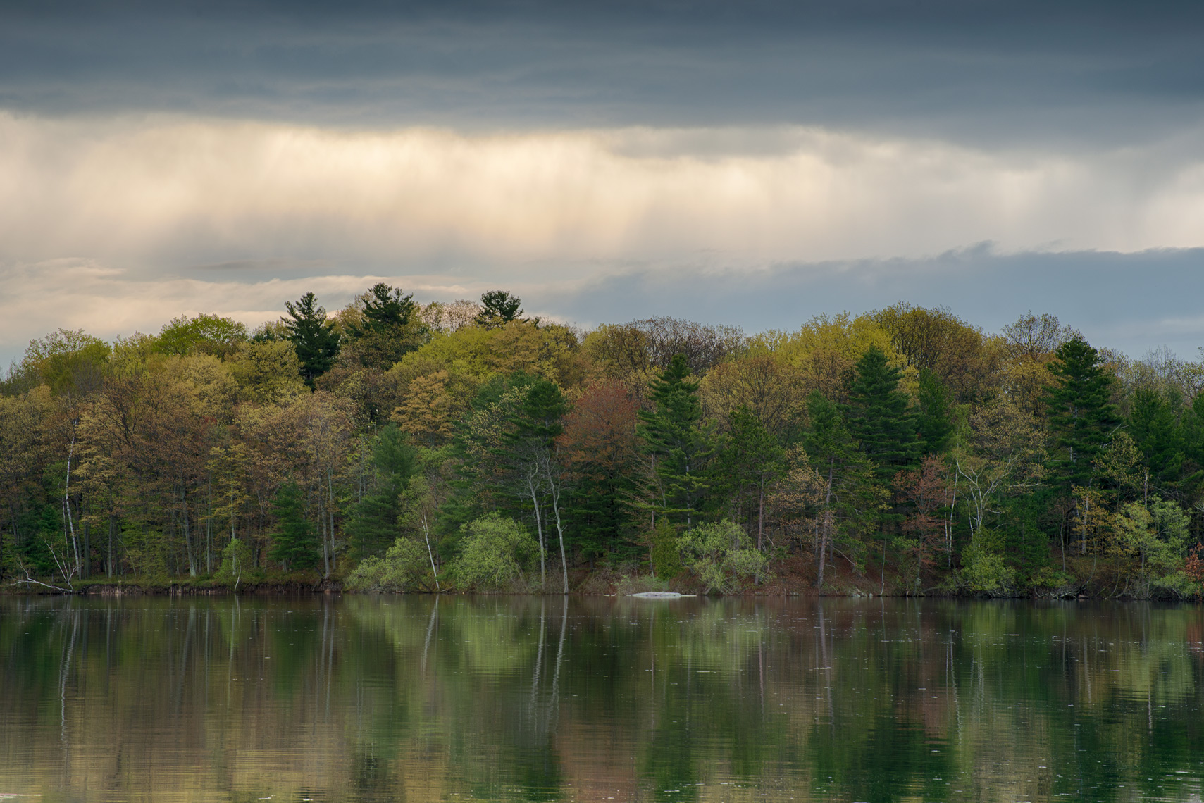 Spring Foliage and Storm Clouds