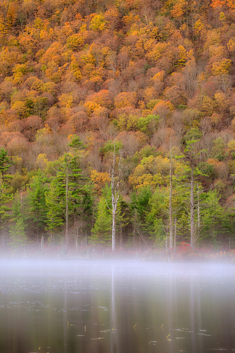 Mist on Labrador Pond in Autumn, Labrador Hollow Unique Area, New York State