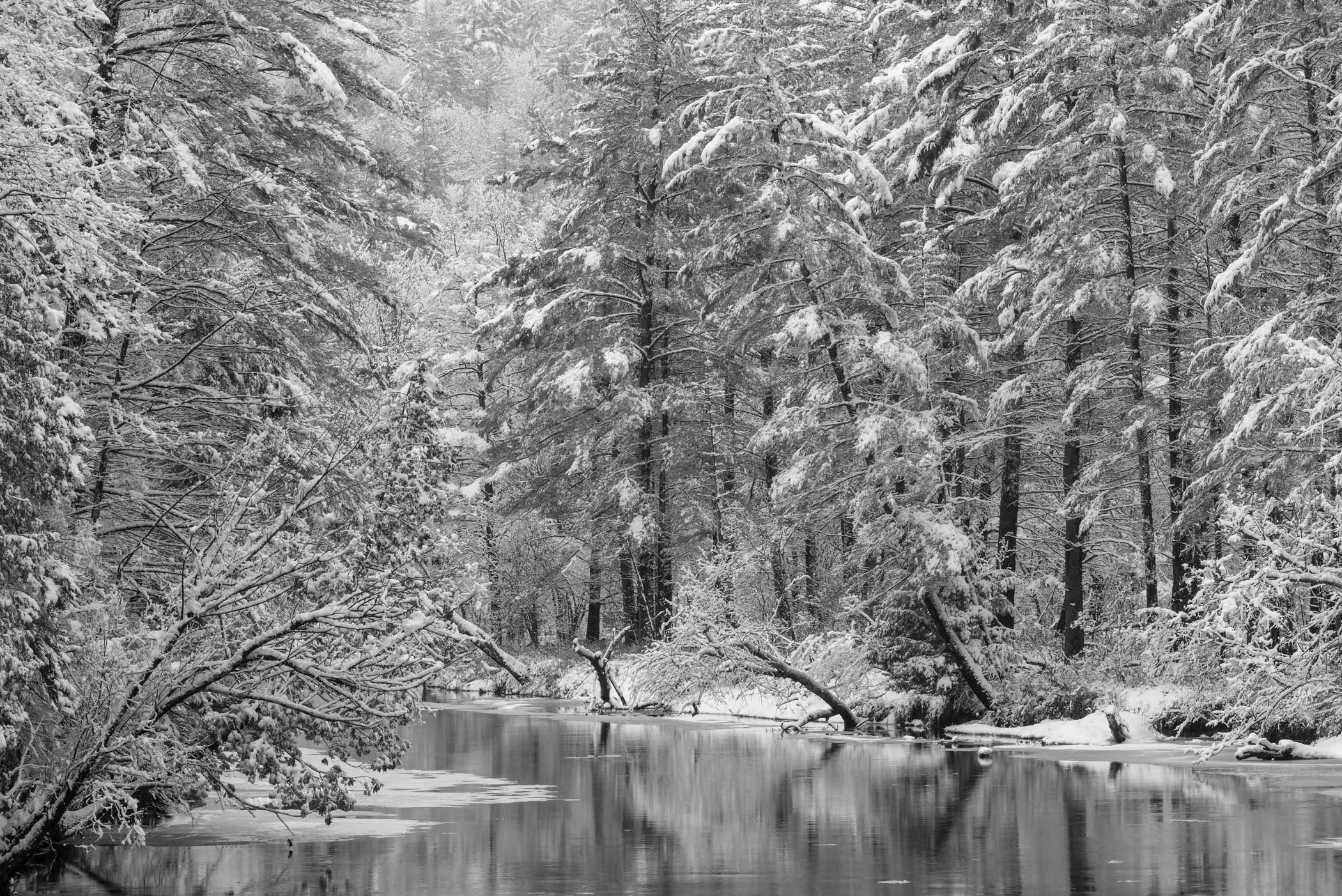 Ausable Winter