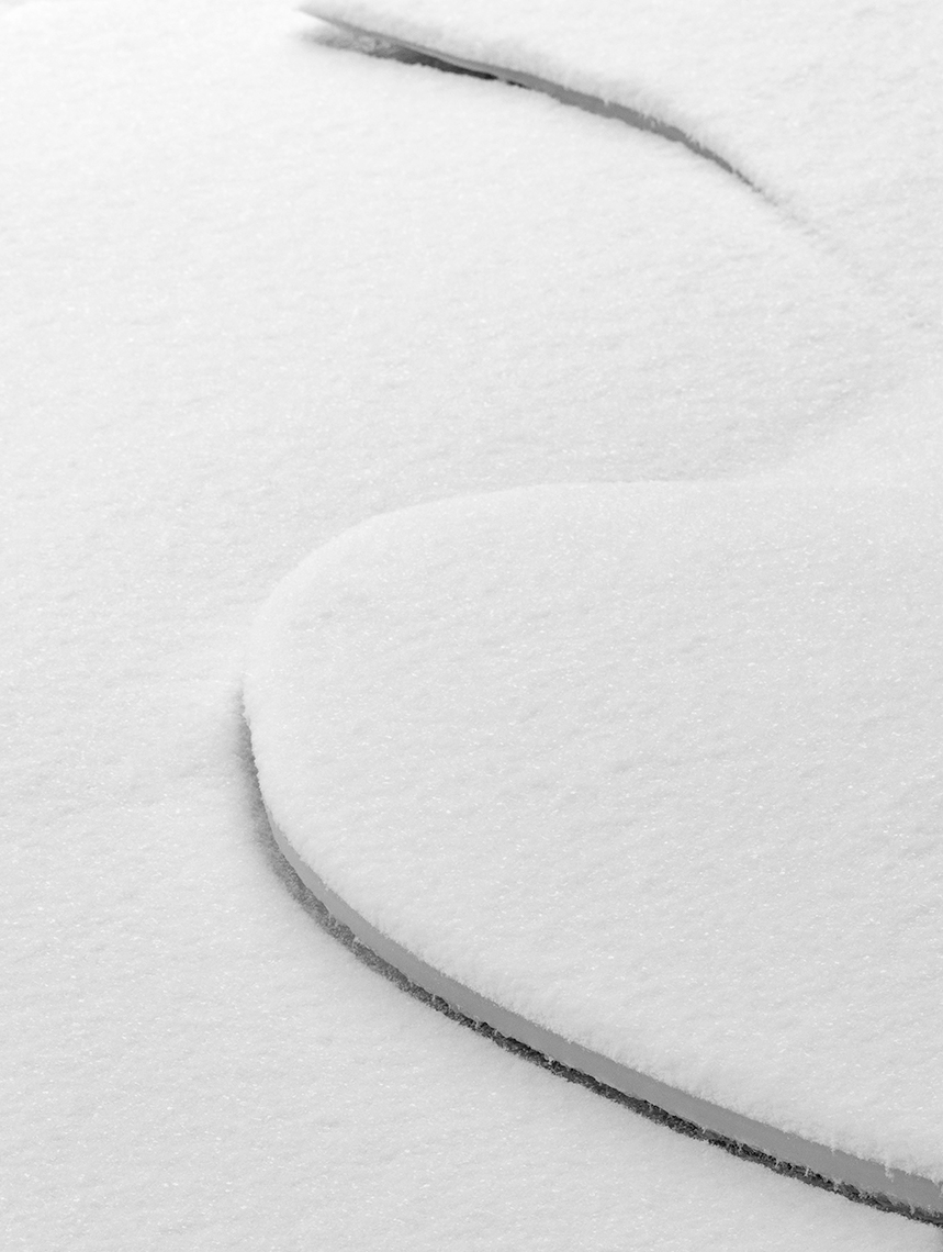 _DSC4007