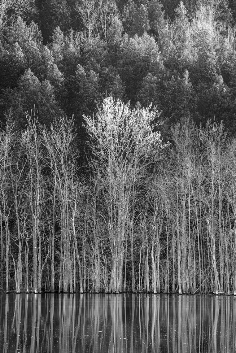 On the Verge of Spring