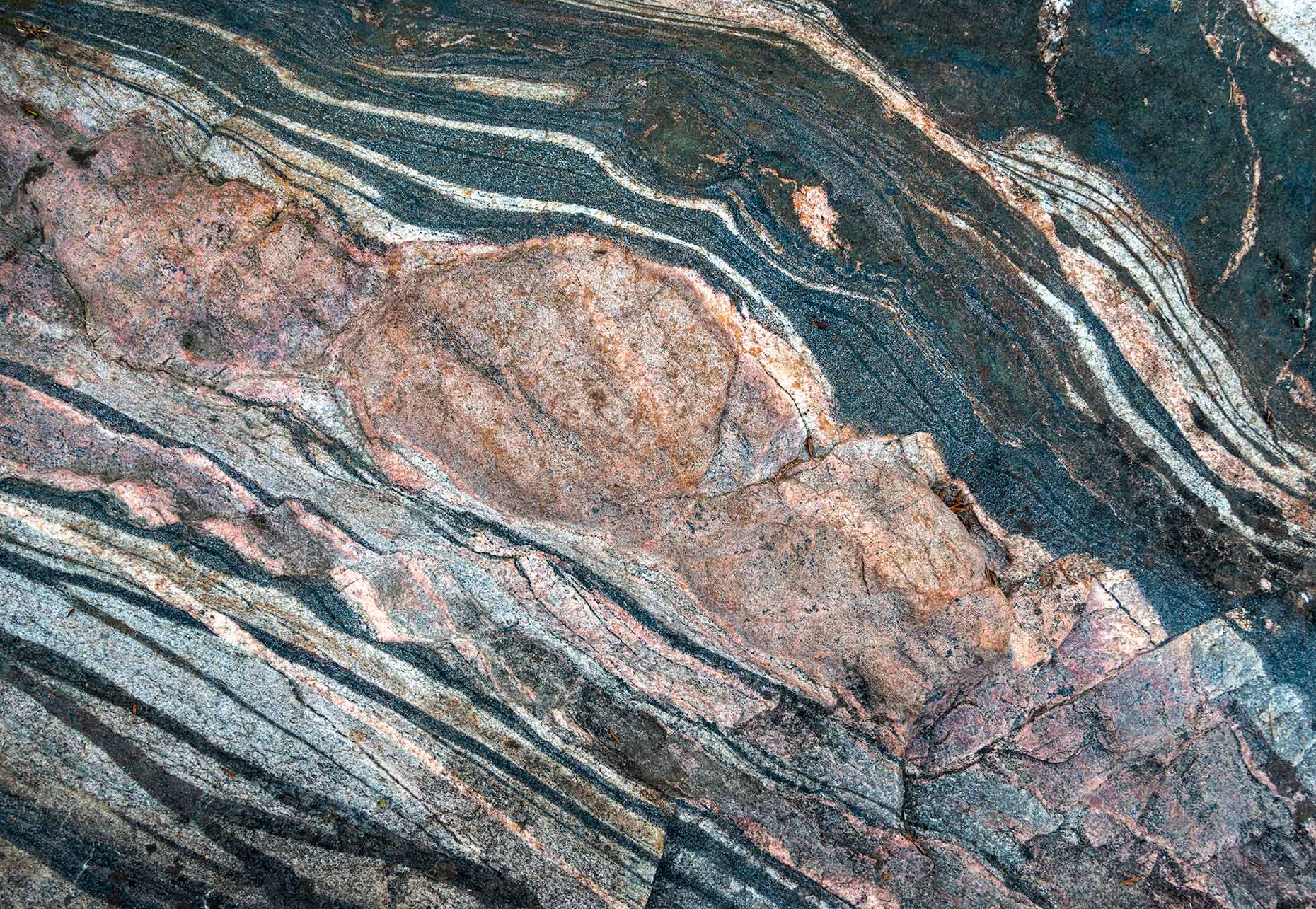 Banded Gneiss