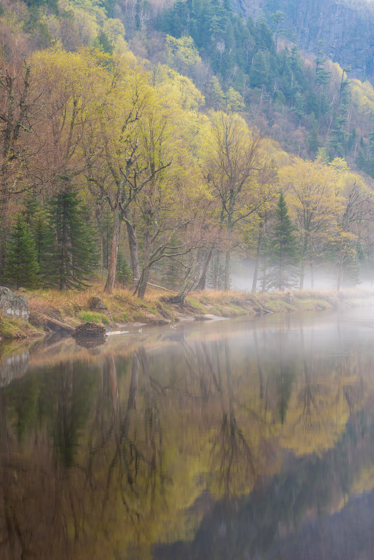 Spring Along the Ausable