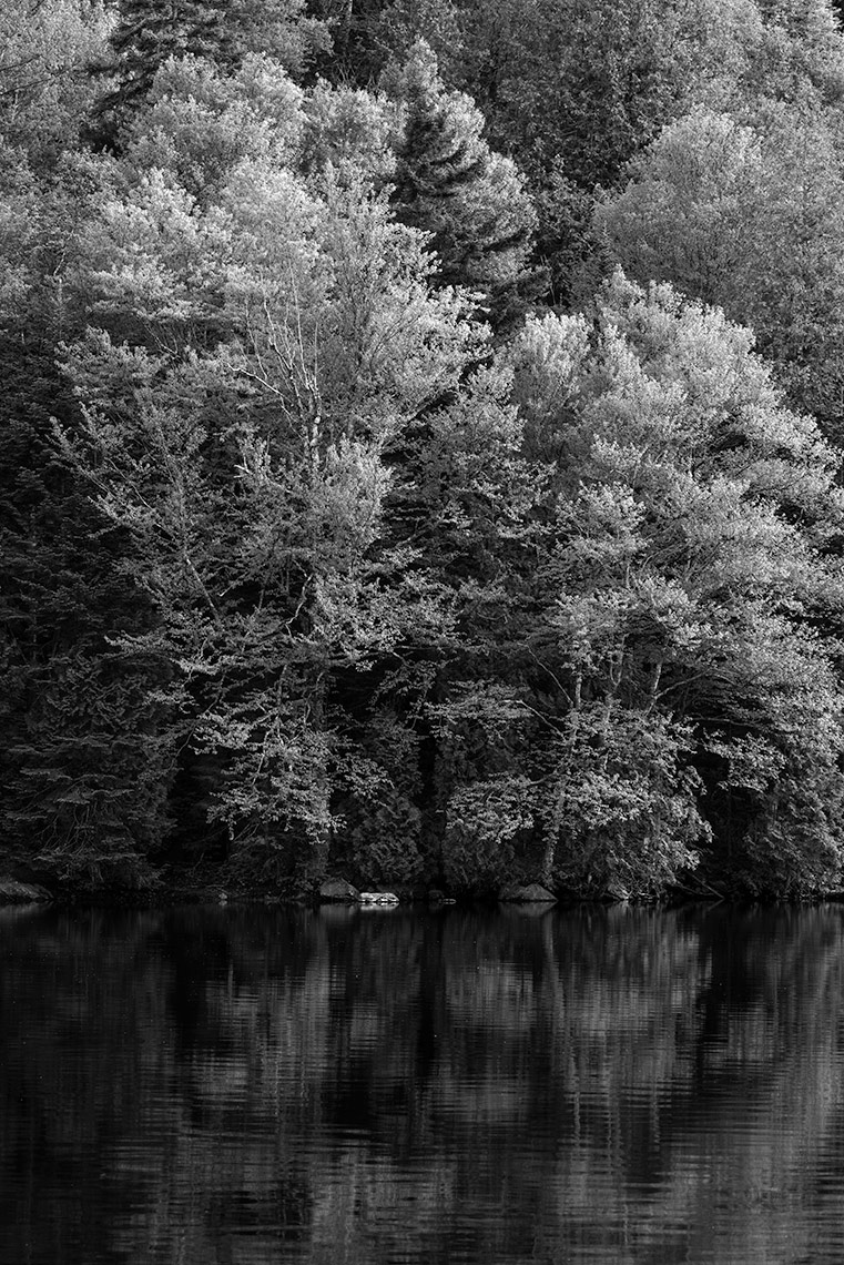 _DSC9237a